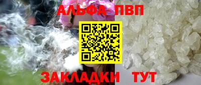стаф Гай