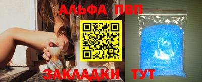 стаф Гай