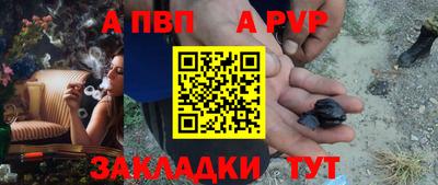 стаф Гай