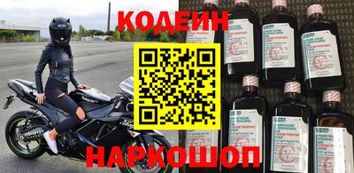 стаф Гай
